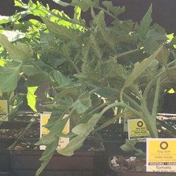 Arnold's Greenhouses