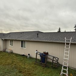 Honey Bee Roofing & Exteriors