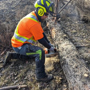 Boreal Tree Service - Tree Services Near Me