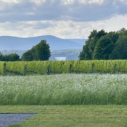 Saint Pierre Le Vignoble - View from the back