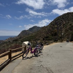 Brown's Bikes - E-Bikes