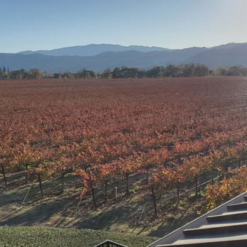 Round Pond Estate Winery - Beautiful views! - Wineries Near Me - Rutherford, California Round Pond Estate Winery - Beautiful views! - Wineries Near Me - Rutherford, California