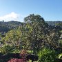 Photo of Mill Valley