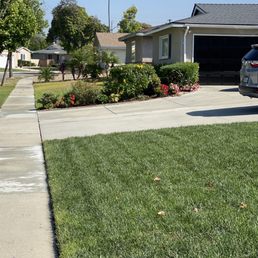 Front lawn Front lawn
