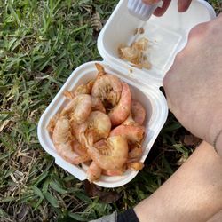 Florida Keys Seafood Festival - Shrimp