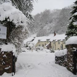 Combe House Hotel