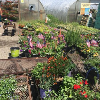Filanowski Farms - Nurseries & Gardening Near Me - Milford, Connecticut