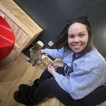 Denver Cat Company - Coffee & Tea Near Me - Denver, Colorado
