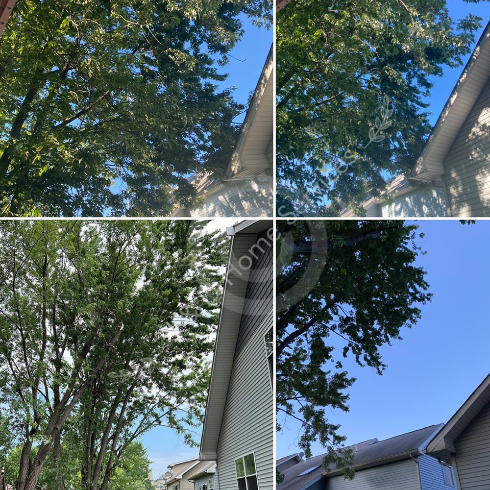 J&D’s Home & Lawn Care Services - tree service in Cleveland, OH