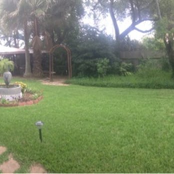Avenue O Bed and Breakfast - View of the backyard looking back at the house (on the left) - Bed & Breakfast Near Me - Galveston, Texas Avenue O Bed and Breakfast - View of the backyard looking back at the house (on the left) - Bed & Breakfast Near Me - Galveston, Texas