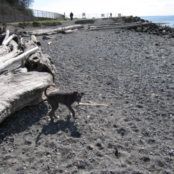 Off Leash Area Edmonds - Dog Parks Near Me - Edmonds, Washington