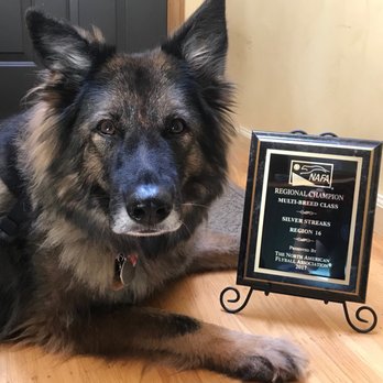 Holistic Veterinary Care - Veterinarians Near Me - Oakland, California