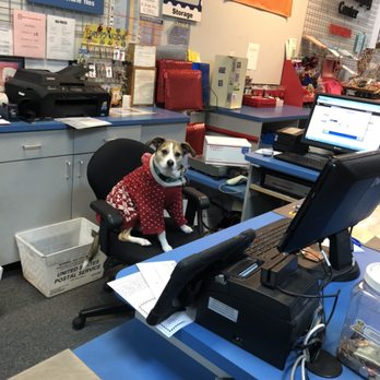 Postal Connections - Lansdowne - Snoopy, the managers dog is always here to help bring smiles to our customers - Shipping Centers Near Me - Lansdowne, Virginia