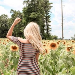The Anderson Sunflower Farm