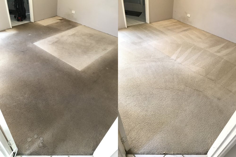 GET FRESH CLEAN Updated August 2024 Request a Quote 223 Nassau St