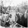 Photo of Tucson Event Rentals