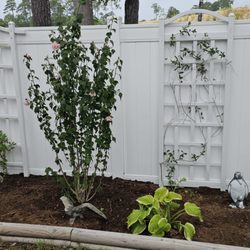 Southeastern Lawn & Landscaping