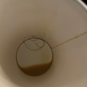Dough - Two hairs at the bottom of my to go cup of coffee... - Desserts Near Me - New York, New York
