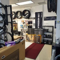 Hollywood Bicycle Shop