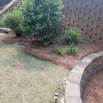 Pine Straw - Pinestraw Install - Nurseries & Gardening Near Me - Smyrna, Georgia Pine Straw - Pinestraw Install - Nurseries & Gardening Near Me - Smyrna, Georgia