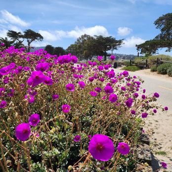 Monterey Muncipal Beach - Beautiful in May 2025 - Beaches Near Me - Monterey, California Monterey Muncipal Beach - Beautiful in May 2025 - Beaches Near Me - Monterey, California