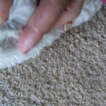 Butterfield Dog Grooming - Cut on ear. - Pet Groomers Near Me - Temecula, California Butterfield Dog Grooming - Cut on ear. - Pet Groomers Near Me - Temecula, California