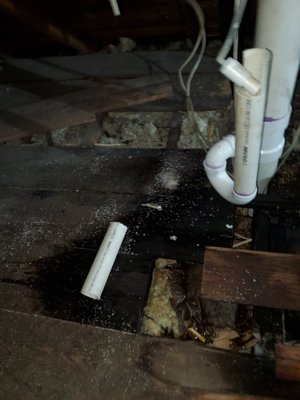 Holt Plumbing LLC Logo