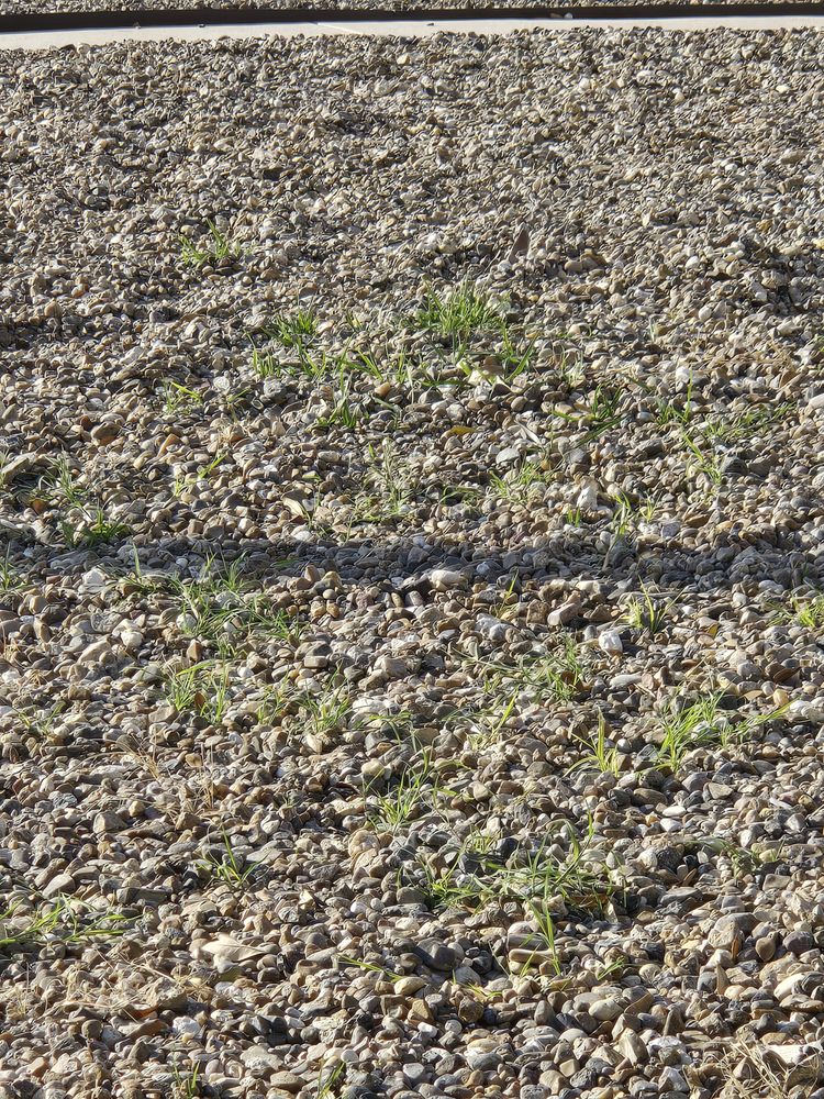 Slide of John W Shaw Paint & Remodeling