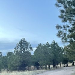 Black Forest Section 16 Trail - Easy evening 4 mile hike of paved DG trail