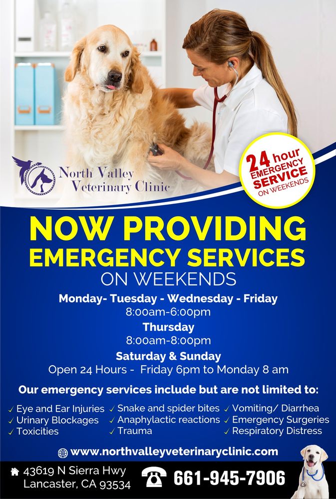 BOSMA LARRY FRANKLIN, DVM Updated October 2024 11 Reviews 43619