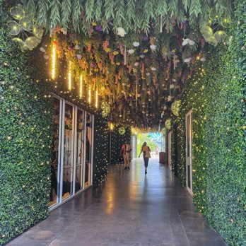 Wynwood Jungle - Water Stores Near Me - Miami, Florida Wynwood Jungle - Water Stores Near Me - Miami, Florida