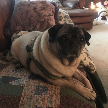 Petco - Pet Stores Near Me - Gresham, Oregon