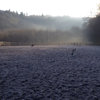 Mukilteo Off Leash Dog Park - Tails & Trails - Dog Parks Near Me - Mukilteo, Washington