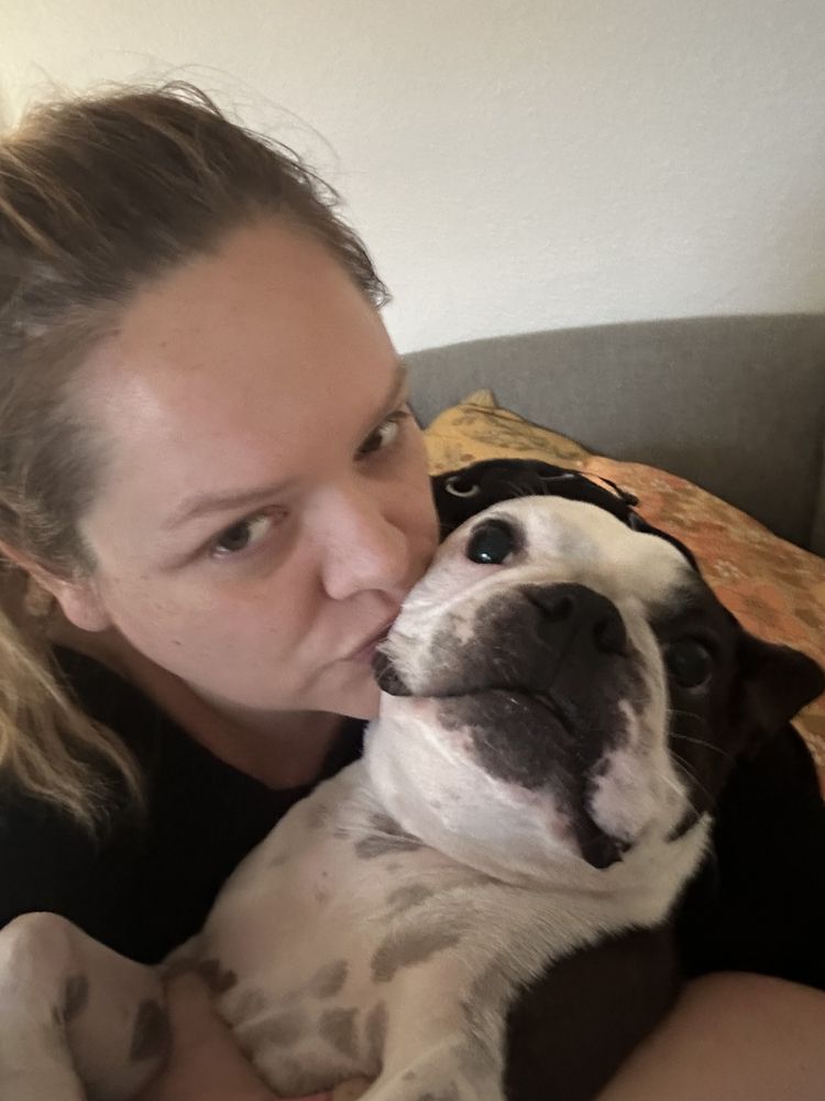 Pets Like Me - pet boarding facility in Austin, TX