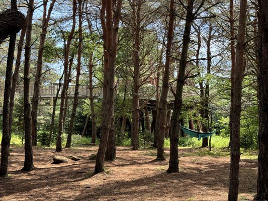 The Wild Center by null