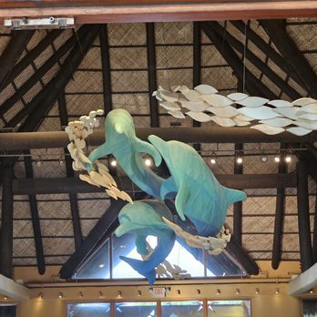 Discovery Cove - Artwork in lobby - Amusement Parks Near Me - Orlando, Florida