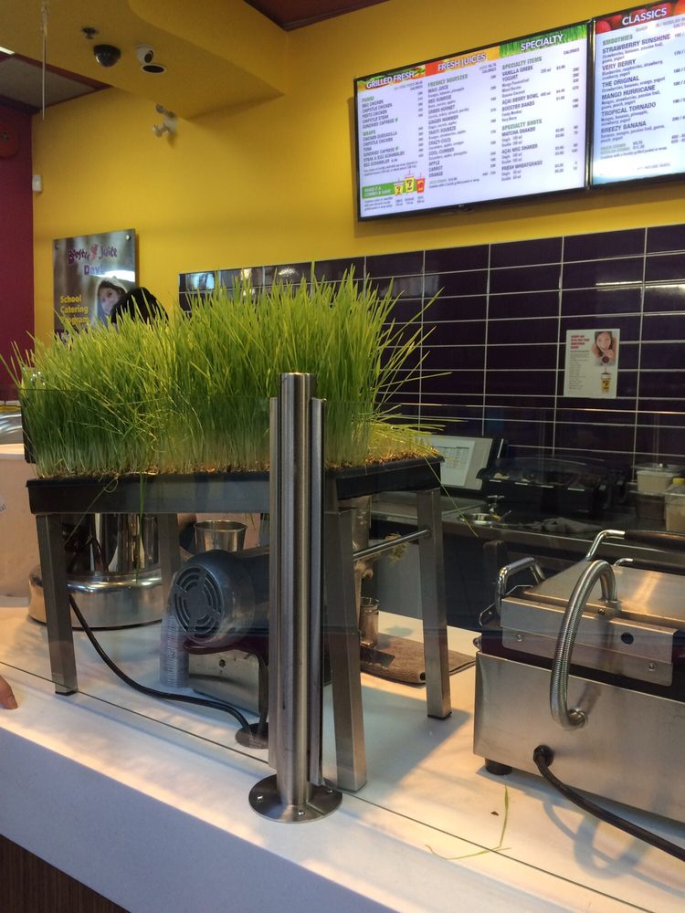 BOOSTER JUICE Updated October 2024 11 Photos & 14 Reviews 2430