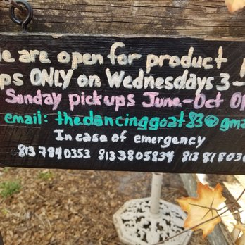 The Dancing Goat - Farms Near Me - Tampa, Florida
