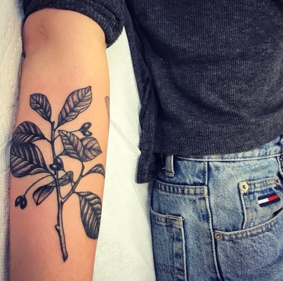 Acme Tattoo and Piercing by null