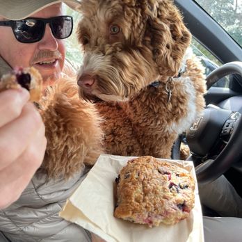 Wild Flour Bread - Cream cheese blueberry scone - Bakeries Near Me - Freestone, California