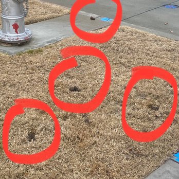 Park at Bayside Apartments - Dog poop - Apartments Near Me - Rowlett, Texas