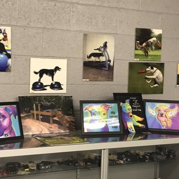 AZ Canine Center - Pet Training Near Me - Mesa, Arizona
