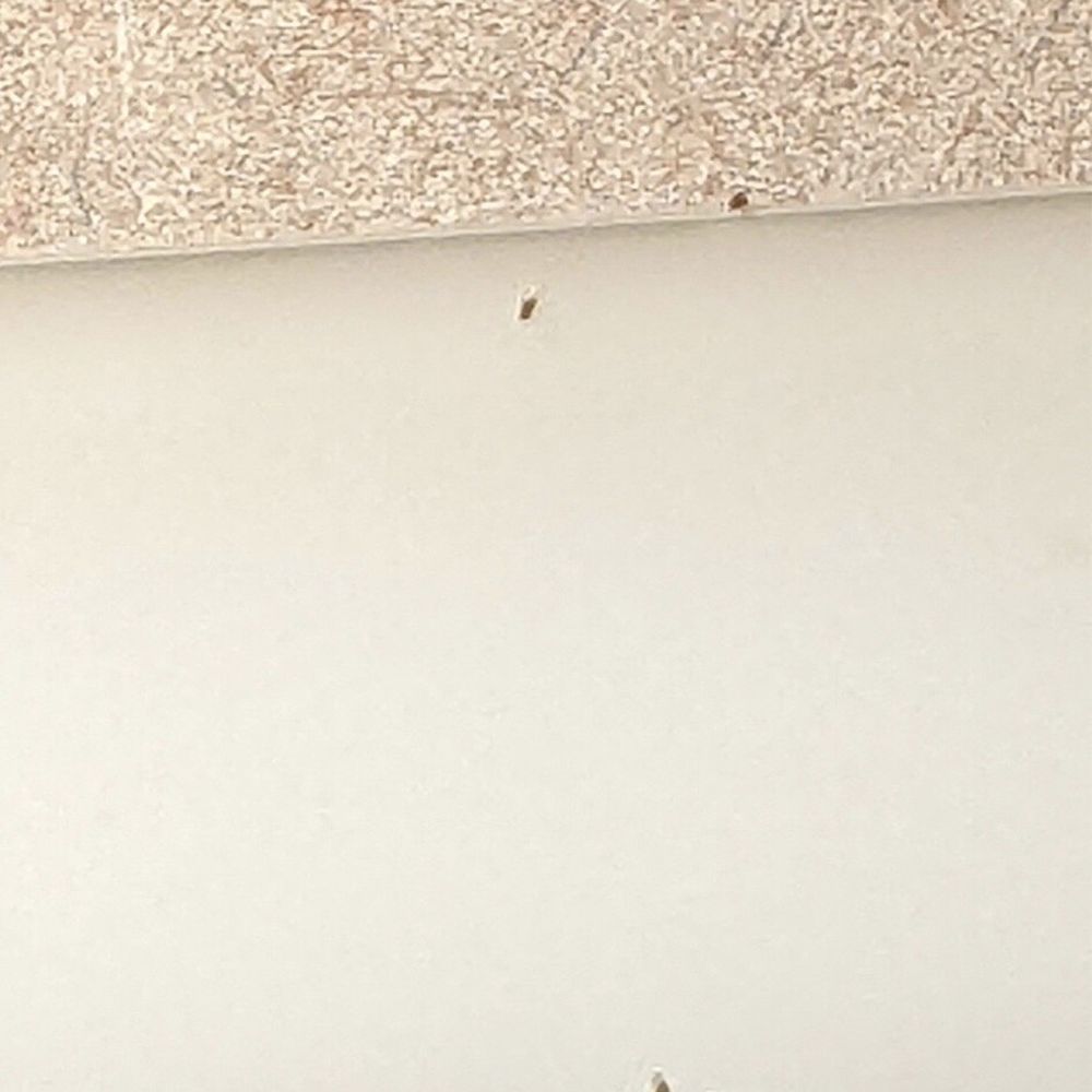 Cavalier Oceanfront Resort - Gnats all over bathroom - Resorts Near Me - San Simeon, California Cavalier Oceanfront Resort - Gnats all over bathroom - Resorts Near Me - San Simeon, California