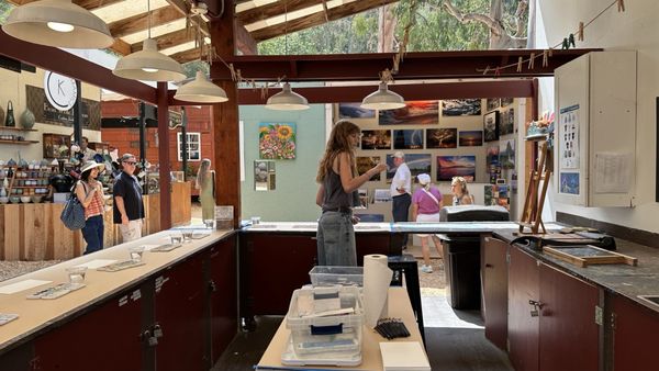 Sawdust Art Festival by null