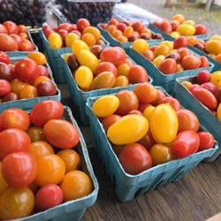 Berry Good Produce - Gorgeous cherry tomatoes in January!
