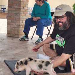 Rancho Los Rivas - Petting a pig