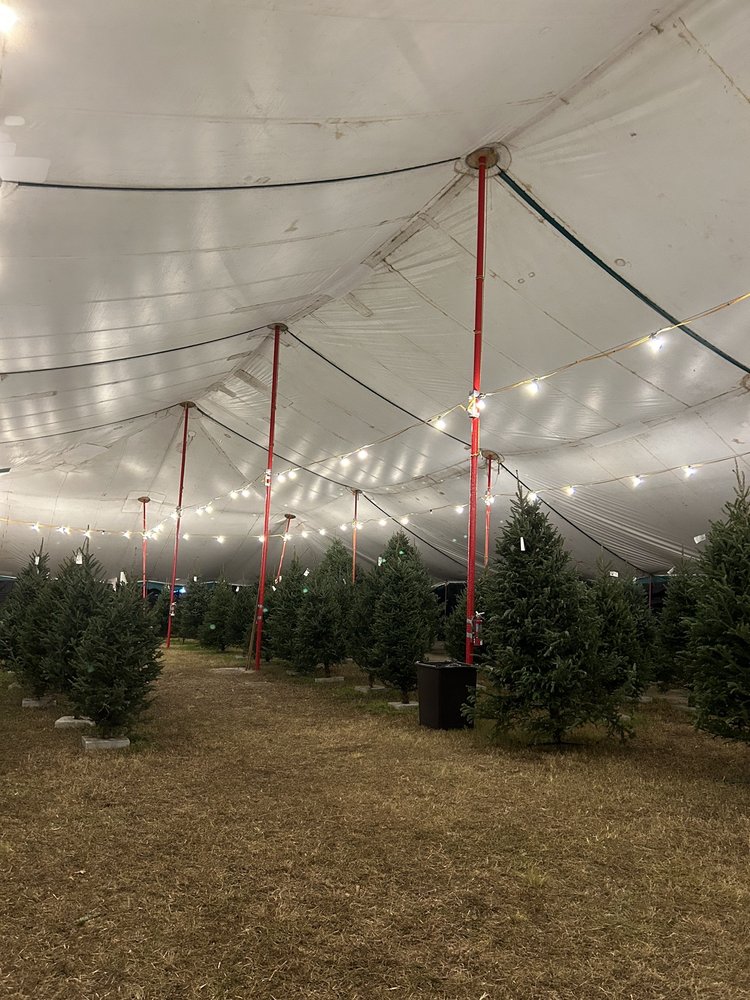 JACK’S CHRISTMAS TREES Updated October 2024 11 Photos & 22 Reviews