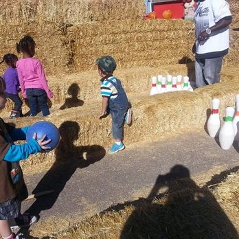 Galloping Goat Pumpkin Patch - Pumpkin Patches Near Me - Rio Rancho, New Mexico