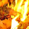 Kabob Hub & Sandwich gift card