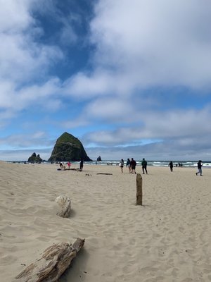 Oswald West State Park by null